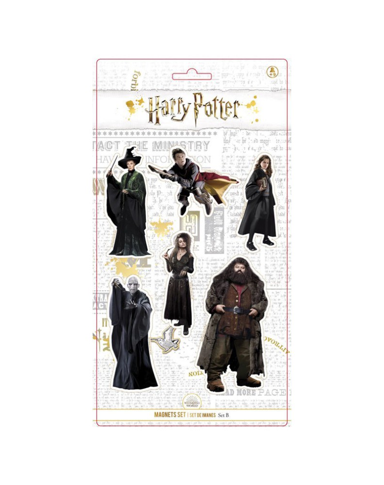 SET 6 IMANES PERSONAJES HARRY POTTER