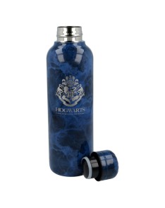 INSULATED STAINLESS STEEL BOTTLE 515 ML HARRY POTTER Vista 2