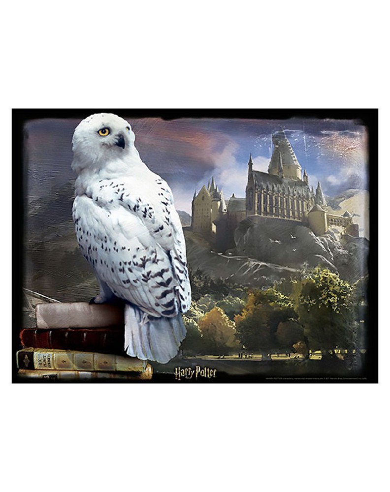 HARRY POTTER HEDWIG LENTICULAR PUZZLE PIECES 500 Vista 2