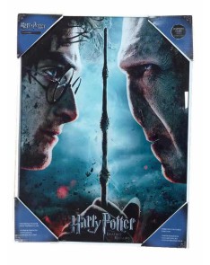 POSTER VIDRIO HARRY POTTER