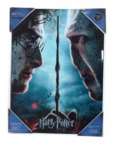 GLASS POSTER HARRY POTTER