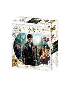 Harry, Hermione and Ron 500 pc lenticular puzzle - harry potter