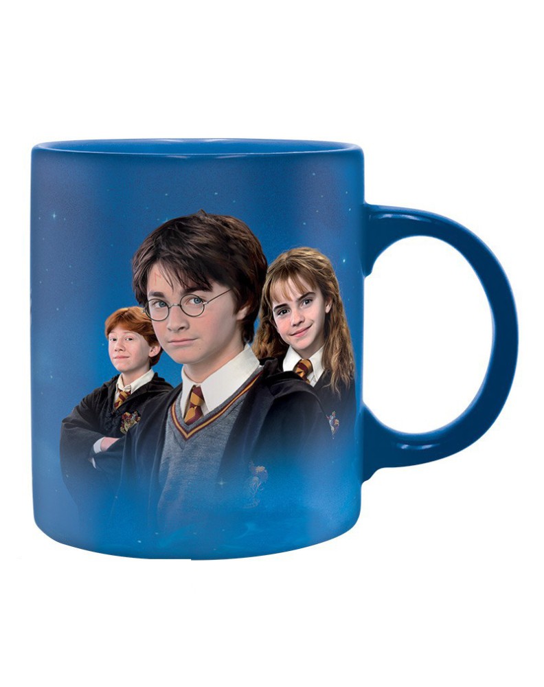 HARRY POTTER MUG PACK + KEY CHAIN + STICKERS Vista 2