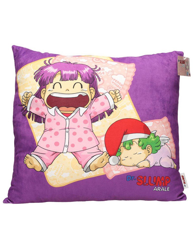 ARALE Y GATCHAN DURMIENDO COJIN CUADRADO DR SLUMP