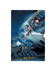 Harry & Ron Flying over Hogwarts 300pc lenticular puzzle Vista 2