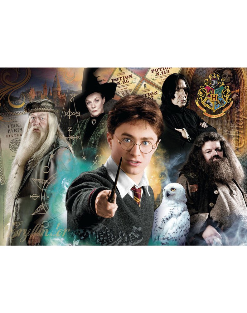 Harry Potter puzzle 500pcs Vista 2