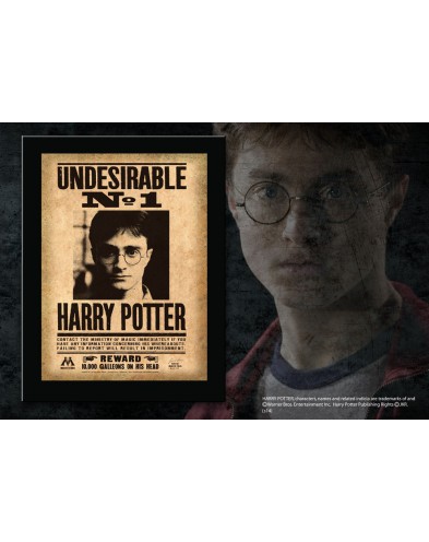 CUADRO HARRY POTTER UNDESIRABLE Nº1 22X31X1.7CM