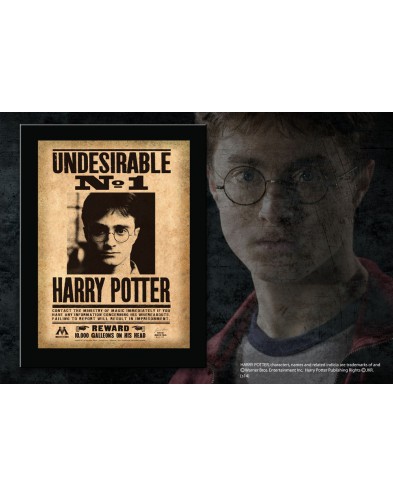 TABLE HARRY POTTER Undesirable No. 1 22X31X1.7CM
