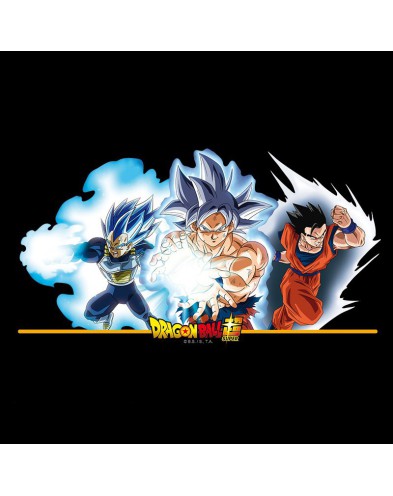 NECESER GROUP - DRAGON BALL SUPER Vista 2