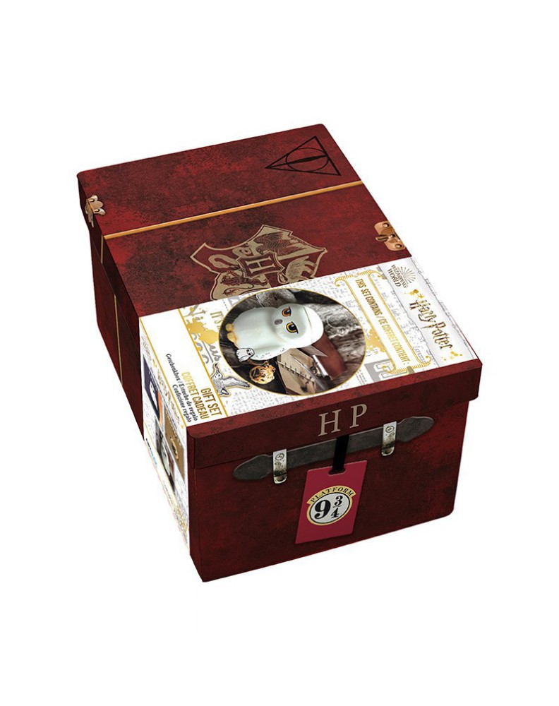 SET REGALO HEDWIG TAZA 3D + LLAVERO 3D + PIN HARRY POTTER