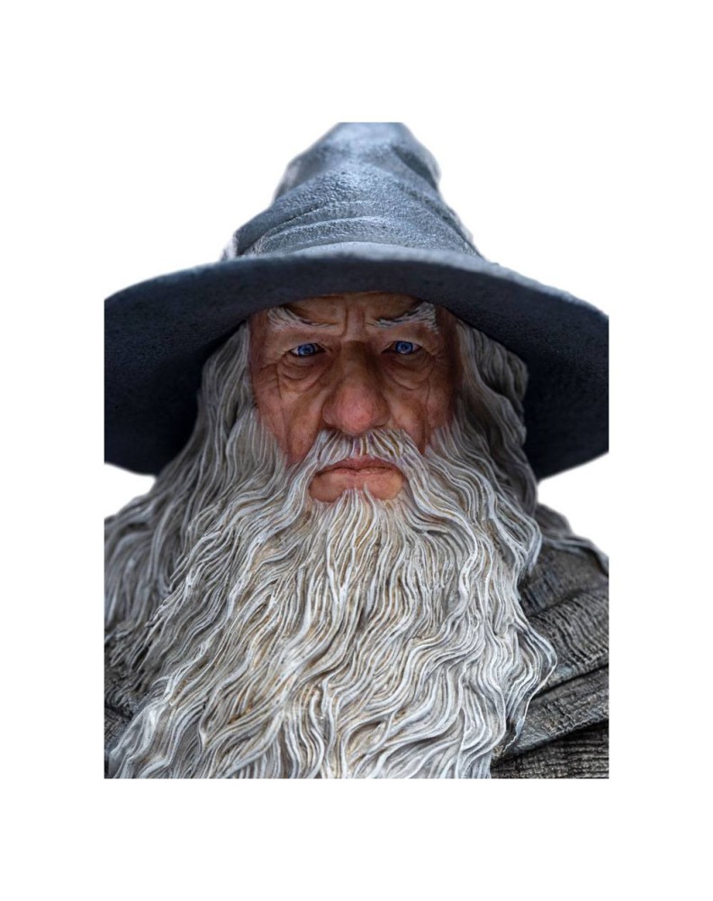 EL SEÑOR DE LOS ANILLOS ESTATUA 1/6 GANDALF EL GRIS (CLASSIC SERIES) 36 CM Vista 3