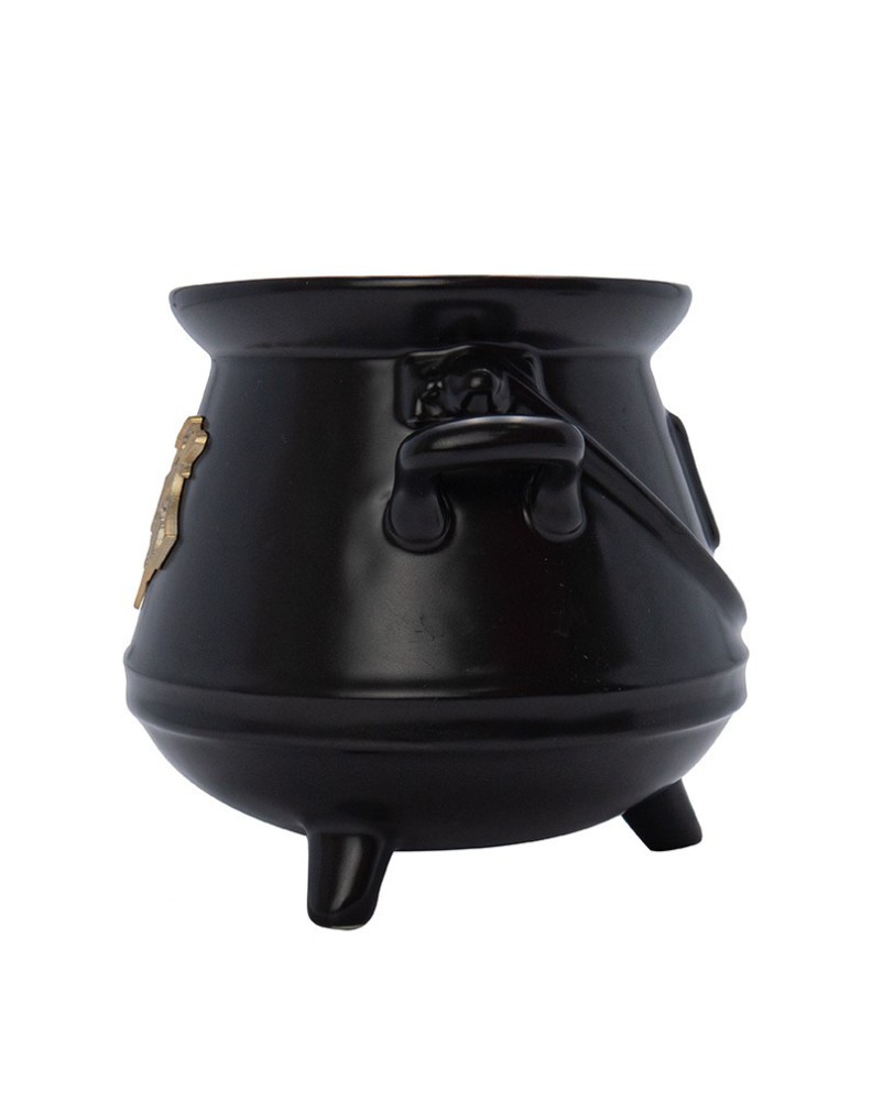 3D MUY HARRY POTTER CAULDRON View 3