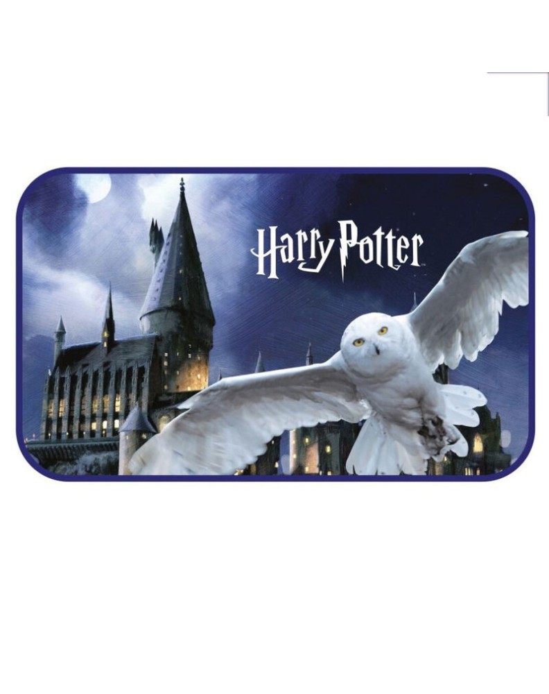 ALFOMBRA 40*70CM HARRY POTTER