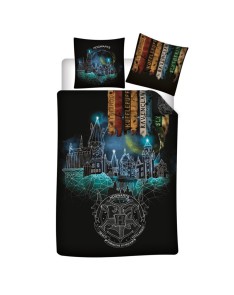 MICROFIBER NORDIC CASE 140 * 200 HARRY POTTER