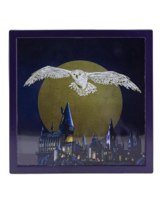 HARRY POTTER MONEY BANK HEDWIG 3D EFFECT View 3