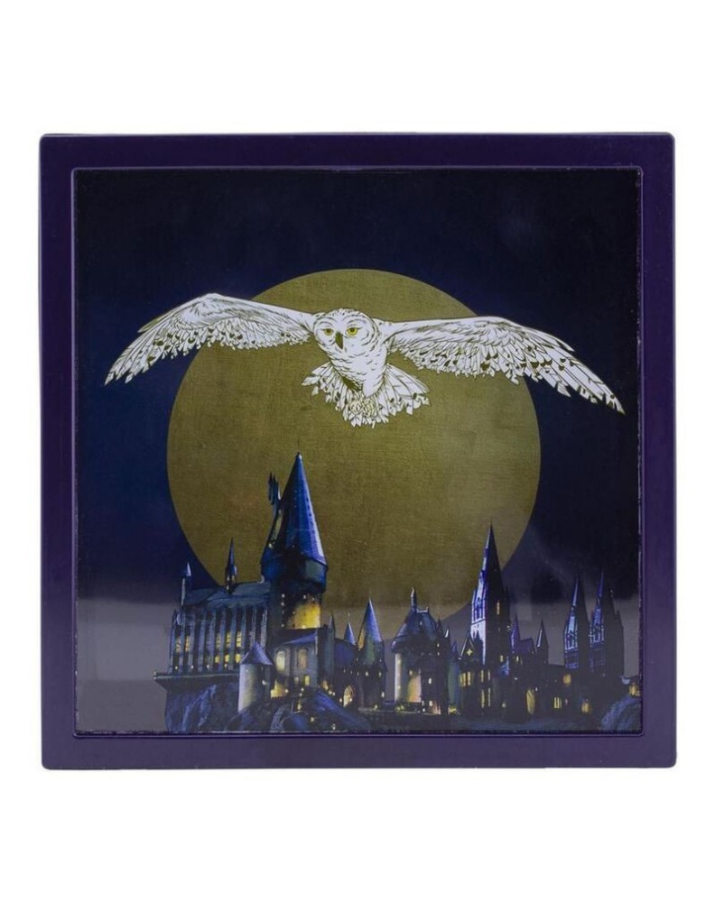 HARRY POTTER MONEY BANK HEDWIG 3D EFFECT View 3