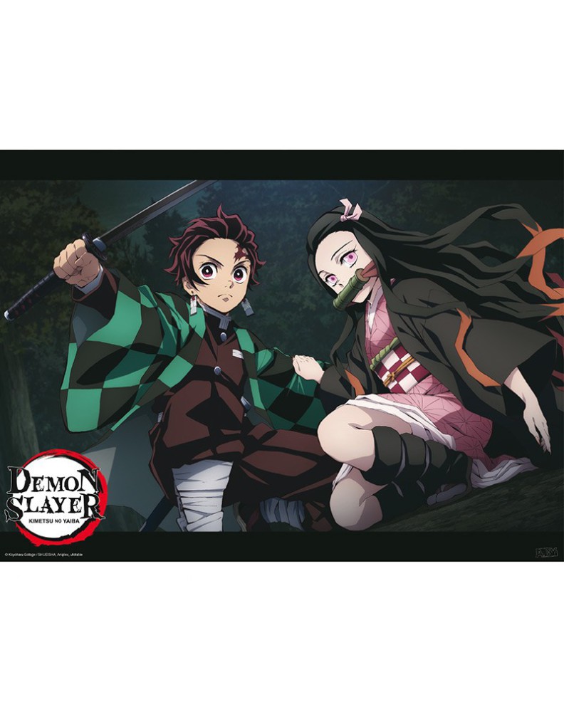 DEMON SLAYER - POSTER "TANJIRO AND NEZUKO FIGHT POSITION" (52X38)