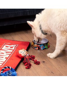 S MARVEL DOG FEEDER