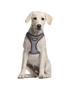 HARNESS FOR DOGS XXS/XS THE MANDALORIAN