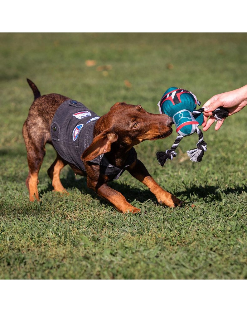 BOBA FETT DOG DENTAL STRING