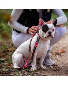 PREMIUM LEASH FOR DOGS S MARVEL