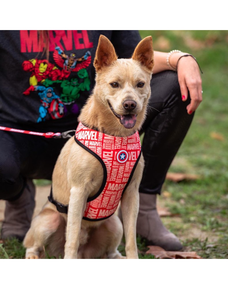 Marvel pet harness hotsell
