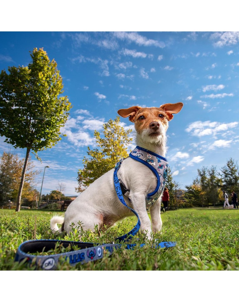 PREMIUM HARNESS FOR DOGS XXS/XS STITCH