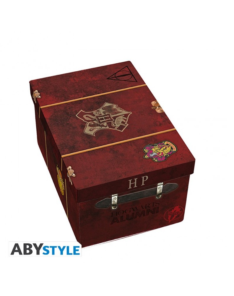 PACK DE REGALO HARRY POTTER - TAZA 3D + LLAVERO 3D + PIN MALETA DE HOGWARTS