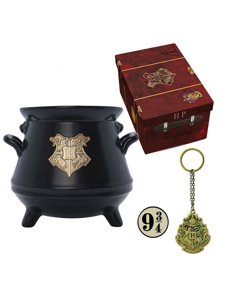 PACK DE REGALO HARRY POTTER - TAZA 3D + LLAVERO 3D + PIN MALETA DE HOGWARTS