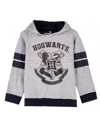 SUDADERA CON CAPUCHA COTTON BRUSHED HARRY POTTER