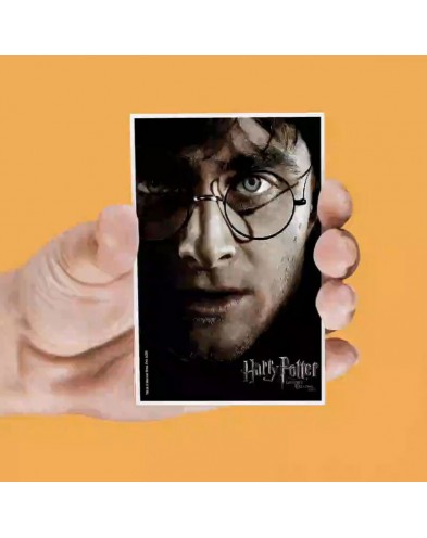 SET OF 4 HARRY POTTER LENTICULAR MAGNETS