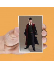 SET OF 4 HARRY POTTER LENTICULAR MAGNETS