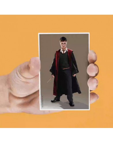 SET OF 4 HARRY POTTER LENTICULAR MAGNETS