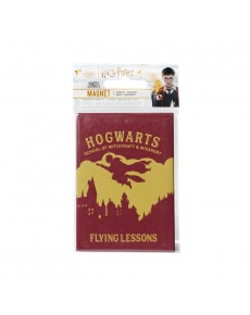 METAL MAGNET HARRY POTTER FLYING LESSONS