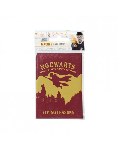 METAL MAGNET HARRY POTTER FLYING LESSONS