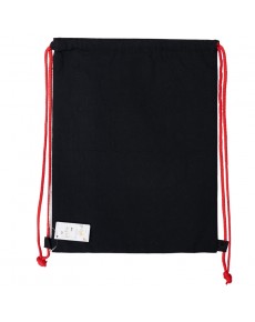 BOLSA AISLANTE FRIENDLY 30 X 40 CM HARRY POTTER GOLDEN MAGIC