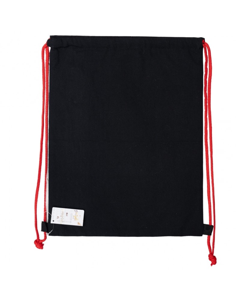 FRIENDLY INSULATED BAG 30 X 40 CM HARRY POTTER GOLDEN MAGIC