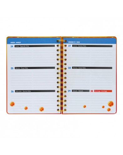 SCHOOL AGENDA 2023/2024 WEEK VIEW A5 12 MONTHS DRAGON BALL