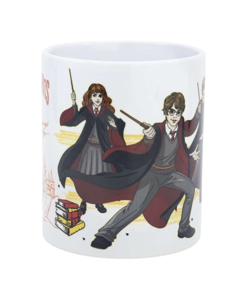 TAZA CERAMICA SUBLIM (11 OZ / 325 ML) HARRY POTTER DESIGN 2
