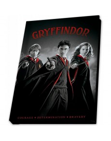 PACK HARRY POTTER -MUG320ML + KEYCHAIN + NOTEBOOK HARRY RON HERMIONE